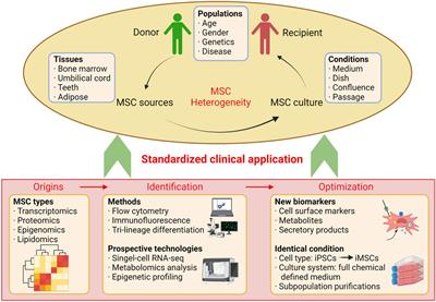 Editorial: Targeting Heterogeneity of Mesenchymal Stem Cells